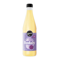 Remedy Sodaly Passionfruit 330ml