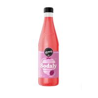 Remedy Sodaly Raspberry 330ml 