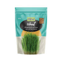 Untamed Wheat Seeds 100g