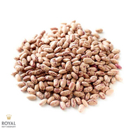 RN Borlotti Beans 500g