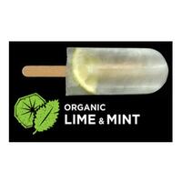 Flying Fox Ice Blocks Lime Mint 60g