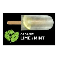 Flyin Fox Organic Lime Mint Ice Block
