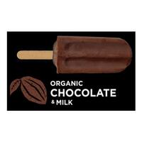 Flying Fox Ice Blocks Choc Milk 60g