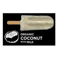 Flying Fox Ice Blocks Coco Milk 60g