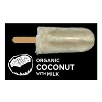 Flyin Fox Organic Coconut Milk Ice Block 