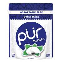 Pur Gum Polar Mint Mints 22g