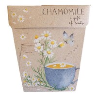 Sow 'N Sow Chamomile Gift of Seeds