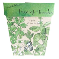 Sow 'n Sow Trio of Herbs Gift of Seeds