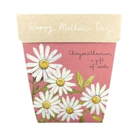 Sow 'n Sow Mother's Day Chrysanthemum
