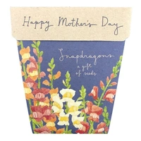 Sow 'n Sow Mother's Day Snapdragons