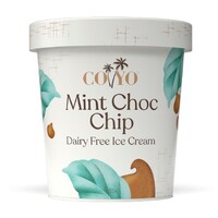 Coyo Ice Cream Mint Choc Chip 500ml