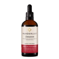 Wanderlust Cinnamon 90ml