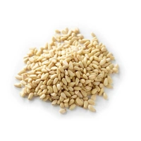 Royal Nut Pine Nut 100g
