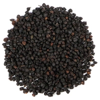 Southern Light Herbs Elderberry 50g