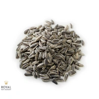 Royal Nut Salted Sunflower Seed 250g