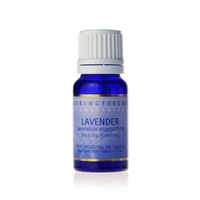 Springfields Ess Oil Lavender Org 30ml 