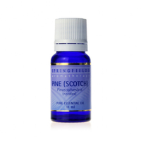 Springfields Ess Oil Pine 11ml