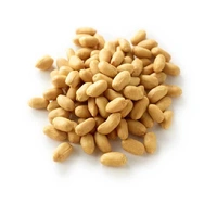 Royal Nut Peanuts Roasted Salted 250g