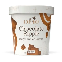 Coyo Dairy Free Organic Ice Cream Chocolate Ripple 500ml 