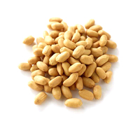 RN Peanut Roasted Salted 500g